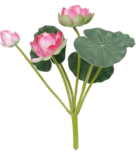 Amazon.co.jp: 入手困難 蓮の花紙 蓮紙 蓮ワーク 8色、計24束 : ホーム